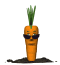 zanahoria-imagen-animada-0037