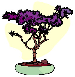 bonsai-imagen-animada-0005