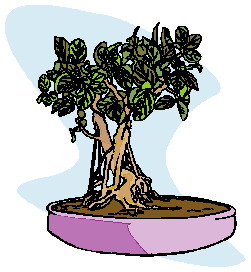 bonsai-imagen-animada-0025