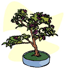 bonsai-imagen-animada-0032