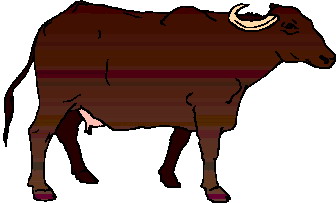 bufalo-imagen-animada-0020