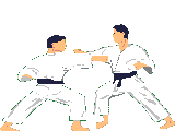 judo-imagen-animada-0010