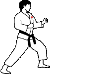 judo-imagen-animada-0011
