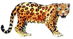leopardo-imagen-animada-0026
