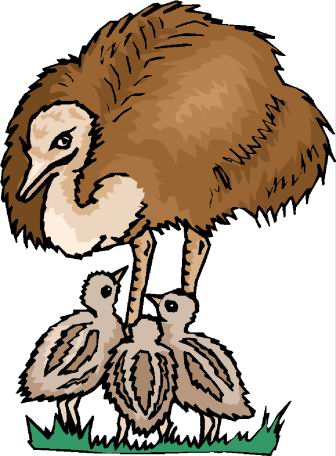 avestruz-imagen-animada-0092