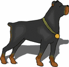 rottweiler-imagen-animada-0055