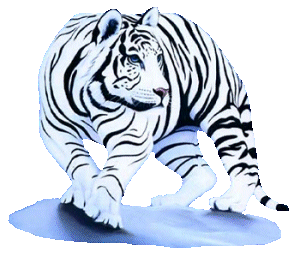 tigre-imagen-animada-0001