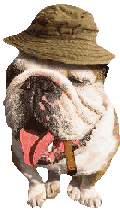 bulldog-imagen-animada-0034