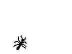 hormiga-imagen-animada-0023