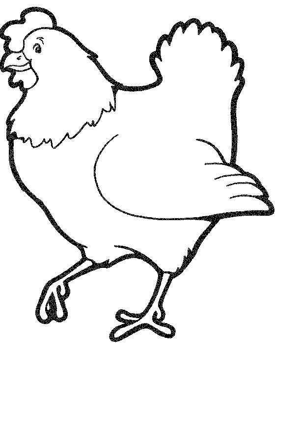 dibujo-para-colorear-pollo-y-gallina-imagen-animada-0018