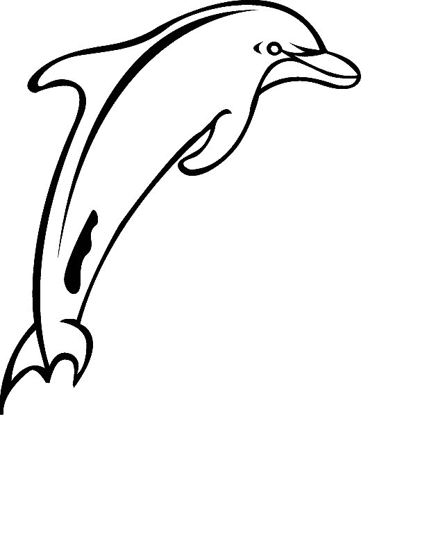 dibujo-para-colorear-delfin-imagen-animada-0008