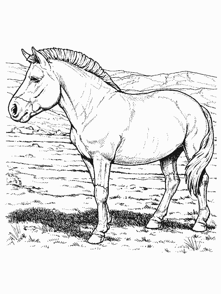 dibujo-para-colorear-caballo-imagen-animada-0002