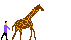 jirafa-imagen-animada-0040