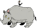 rinoceronte-imagen-animada-0008
