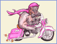 hipopotamo-imagen-animada-0053