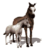 caballo-imagen-animada-0020
