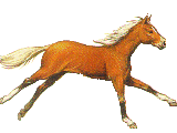 caballo-imagen-animada-0291