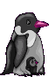 pinguino-imagen-animada-0081