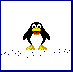 pinguino-imagen-animada-0092