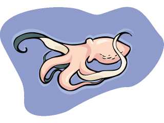 calamar-y-sepia-imagen-animada-0025