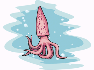 calamar-y-sepia-imagen-animada-0029