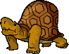 tortuga-imagen-animada-0039