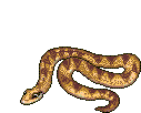 serpiente-y-culebra-imagen-animada-0023