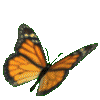 mariposa-imagen-animada-0079