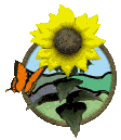 mariposa-imagen-animada-0277