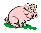 cerdo-puerco-y-cochino-imagen-animada-0035