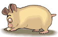 cerdo-puerco-y-cochino-imagen-animada-0090