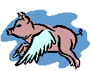 cerdo-puerco-y-cochino-imagen-animada-0166