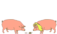 cerdo-puerco-y-cochino-imagen-animada-0187