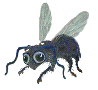 insecto-imagen-animada-0054