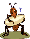insecto-imagen-animada-0096
