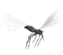 insecto-imagen-animada-0114