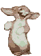 conejo-imagen-animada-0598