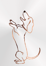 perro-salchicha-imagen-animada-0049