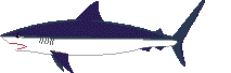tiburon-imagen-animada-0020