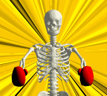 esqueleto-imagen-animada-0060