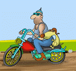 moto-y-motocicleta-imagen-animada-0028