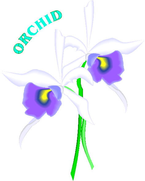 orquidea-imagen-animada-0002