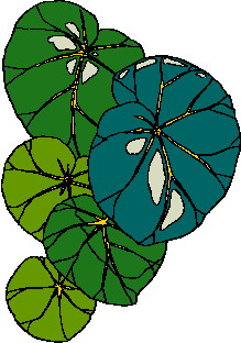 hoja-imagen-animada-0045