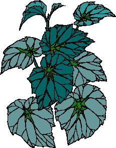 hoja-imagen-animada-0054