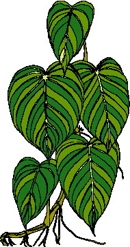 hoja-imagen-animada-0065