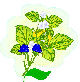 hoja-imagen-animada-0072