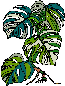 hoja-imagen-animada-0085
