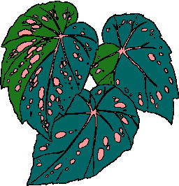 hoja-imagen-animada-0098