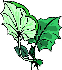 hoja-imagen-animada-0099