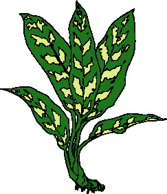hoja-imagen-animada-0107